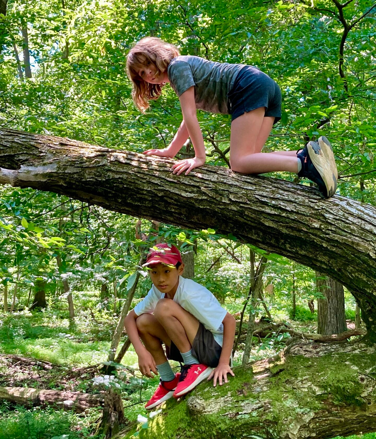 a young girl and boy climbing on a mossy tree that is partially fallen
