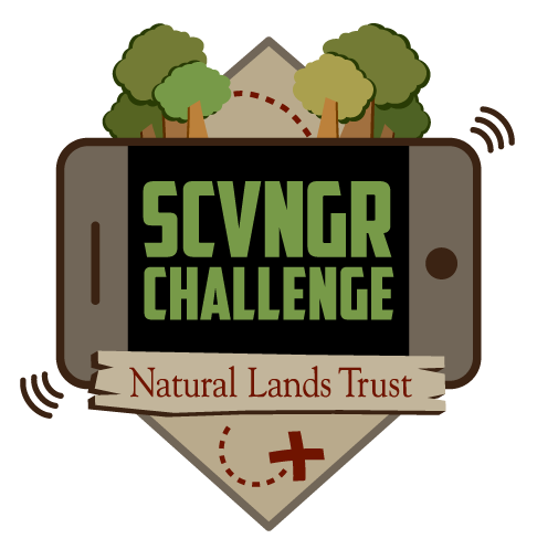 Scvngr Challenge Logo