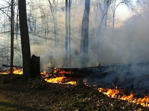 French Creek State Park wildfire - Natural Lands