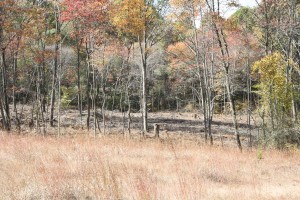 grassland and grassland restoration areas