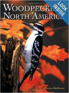 Woodpeckers of NA