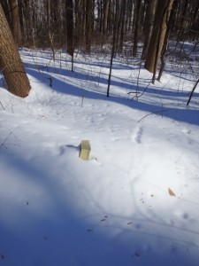 Trail Marker in Snow
