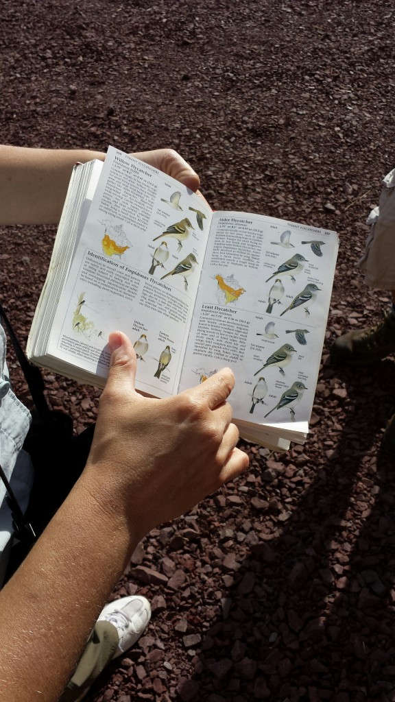 Checking Birding Book
