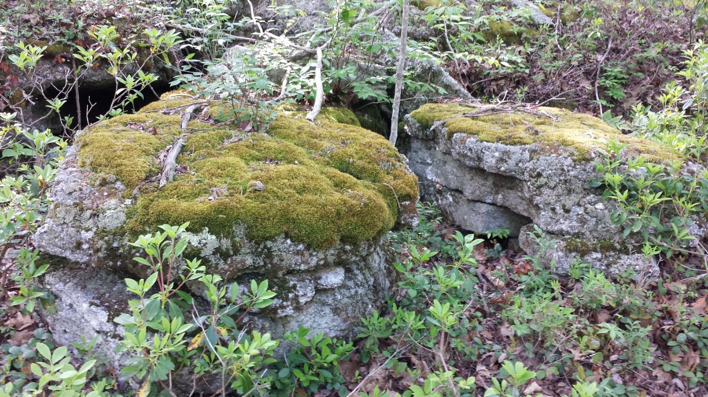 Rock table with mossy coverlet