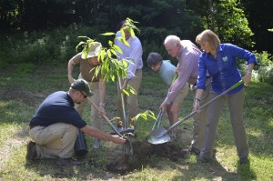 Tree planting to commemorate the transfer to Bureau of Forestry