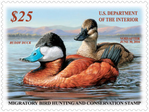 2015-2016%20Federal%20Duck%20Stamp[1]