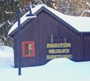 The Nature Center before the shoveling began.