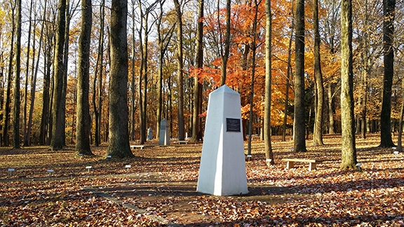 A white tower stands in the middle of an autumn forest.