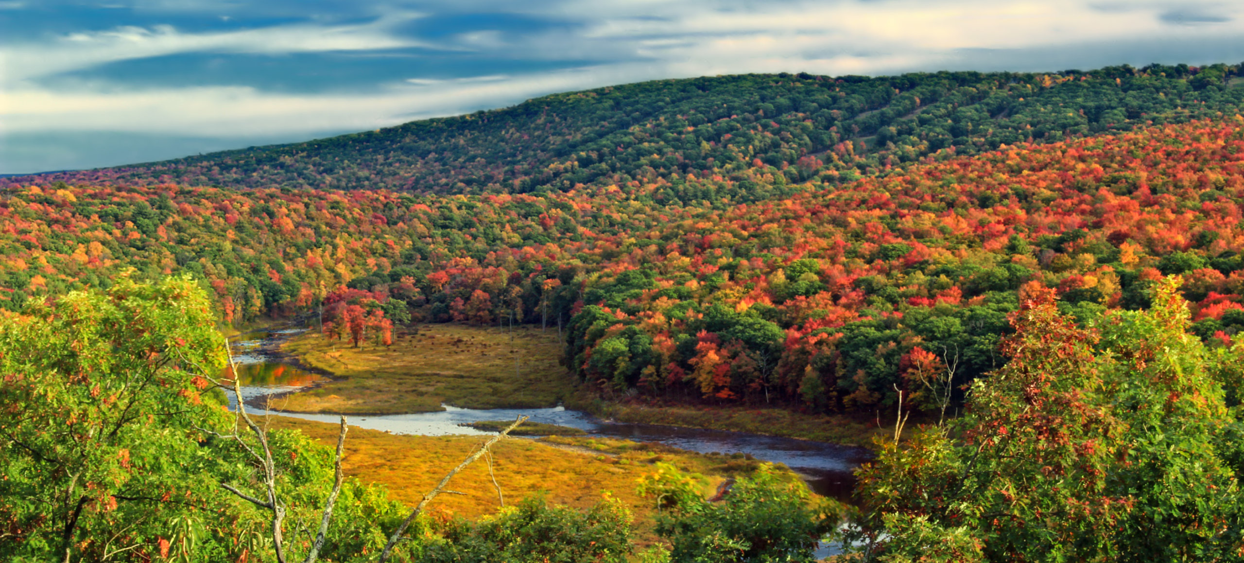 An autumn landscape of colorful trees on hills under a blue sky. A clearing in the middle show a meadow and water.