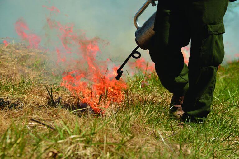 A person holding a can of fuel walks next to a fire line in a feild.