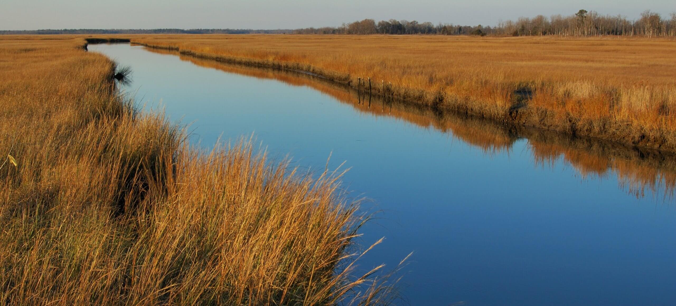 A waterway cuts between two meadows of tall brown grass under a light blue sky.