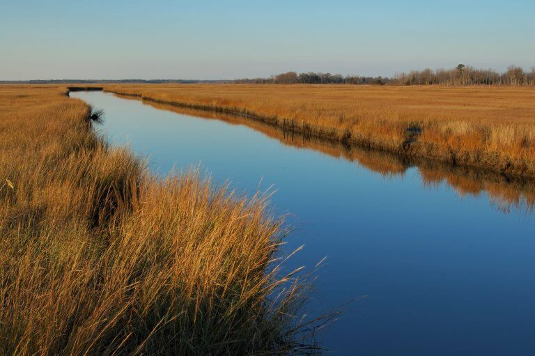 A waterway cuts between two meadows of tall brown grass under a light blue sky.