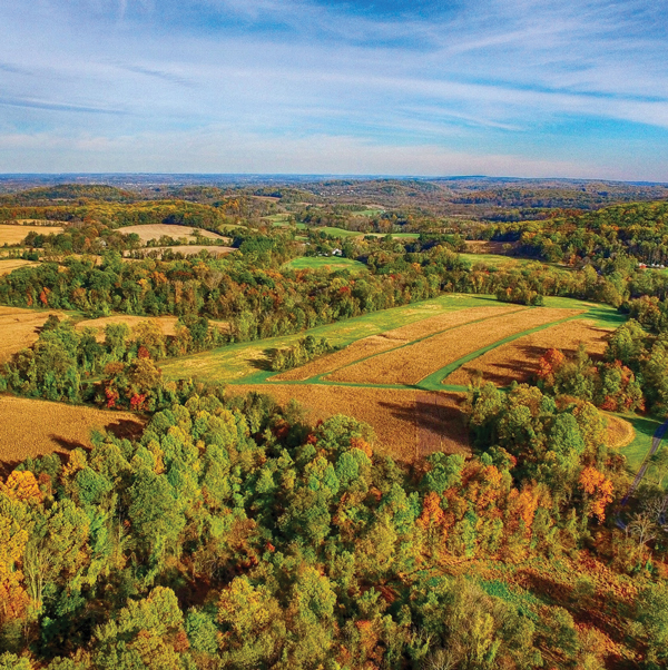 A drone photo of a natural autumn landscape of farm fields and trees under a blue sky with whispy white clouds.
