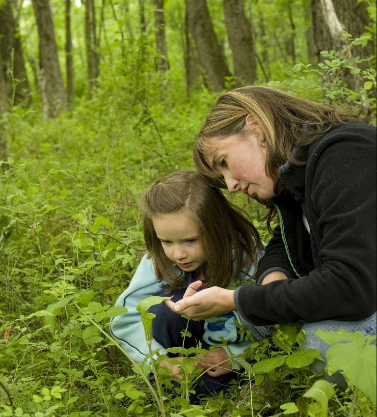 A child and an adult look at plants in the forest.