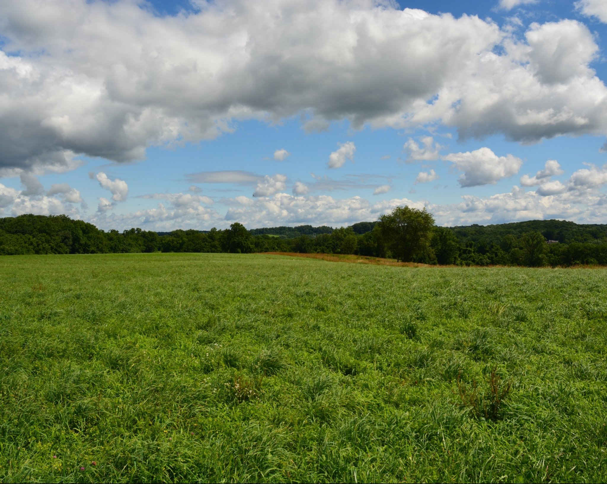 saving-open-space-natural-lands