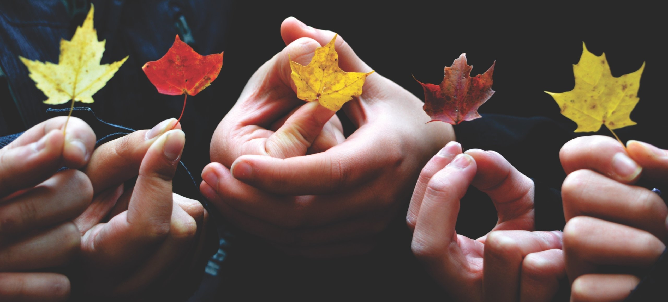 A close up of five hands each holding a small red or yellow leaf.