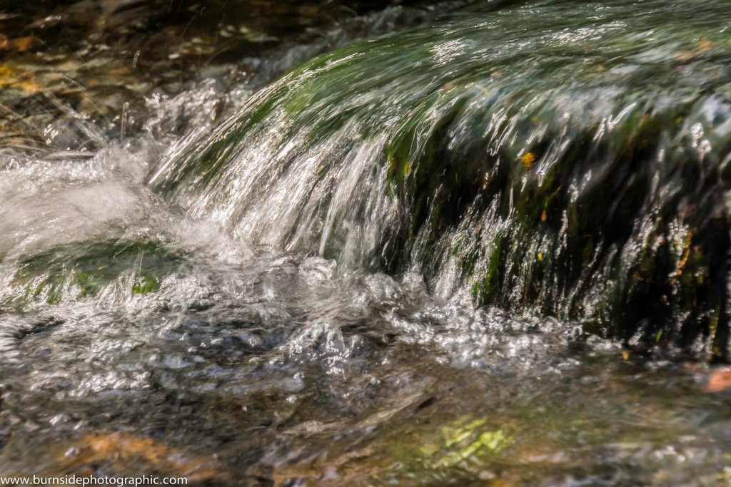 Caring For Nature - Natural Lands