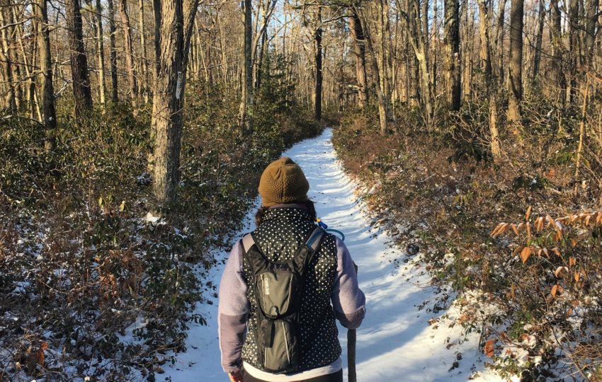 A person with a walking stick walks along a snow covered trail in a winter forest.