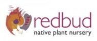 Redbud Logo