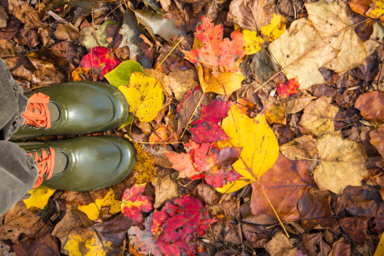 a view looking down at someone's green boots as they stand on the ground that's covered in multi-colored leaves.