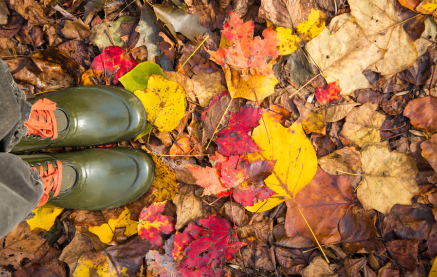 a view looking down at someone's green boots as they stand on the ground that's covered in multi-colored leaves.