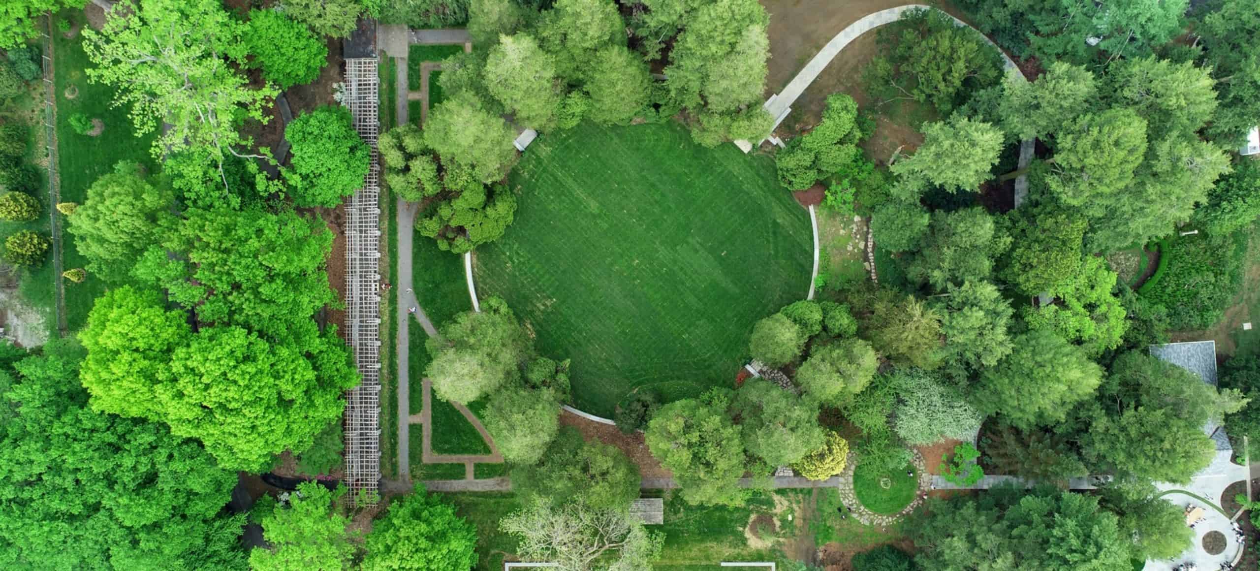 Drone shot of a green garden with interesting shapes and green colors