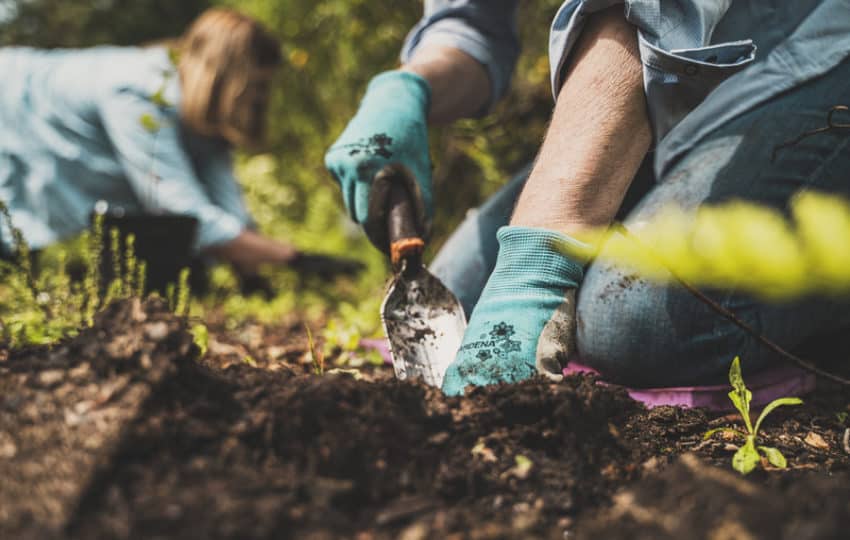 Two volunteers wearing gardening gloves dig with tools in the dirt to install plants