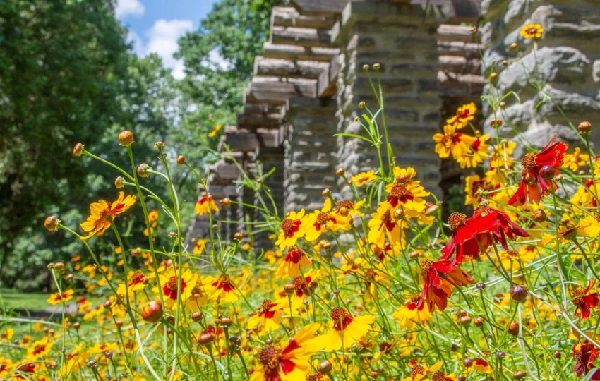 A line of stone pillars out of focus in the background with green trees and a blue sky with orange and red wildflowers in focus in the foreground.
