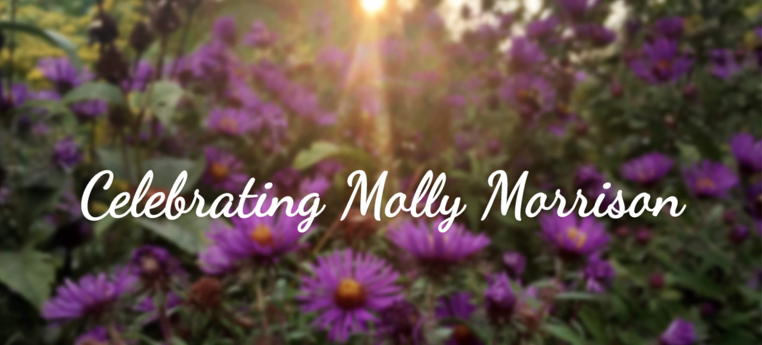 Blurred purple flowers with the white text "Celebrating Molly Morrison"