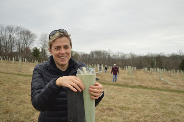 A volunteer smiles at the camera while placing a net on a plastic tree tube in front of a winter landscape filled with tree tubes and a forest in the background.