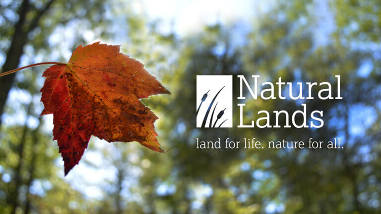 Natural Lands Logo next to an orange leaf and a blurred background of trees