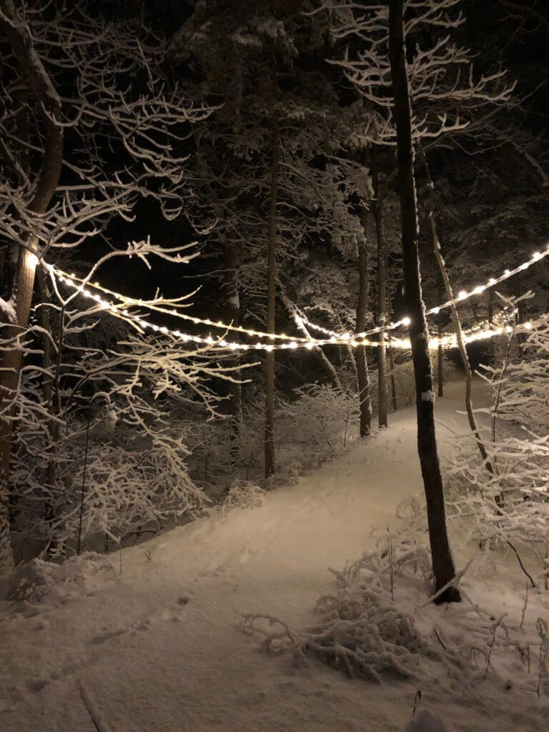 Lights strung between trees in a winter landscape.