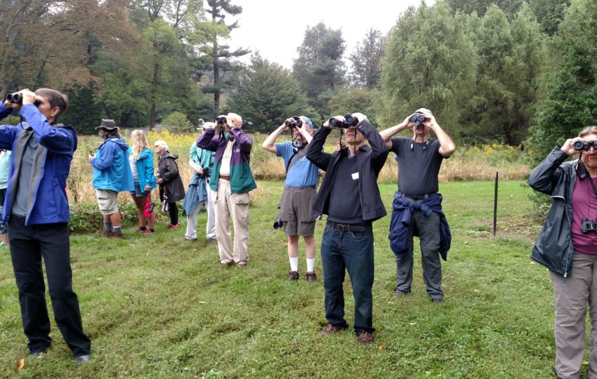 A group of people look upwards using binoculars.