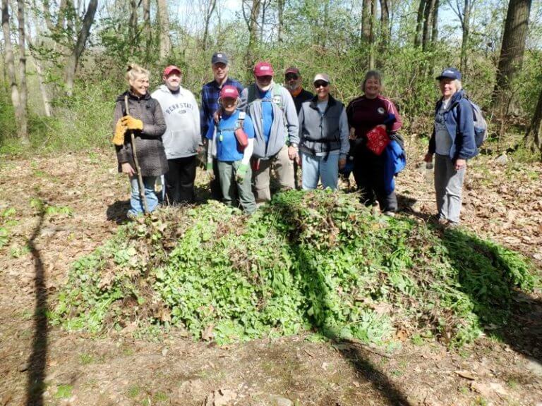A group of volunteers pose for the camera with a large pile of garlic mustard at their feet.