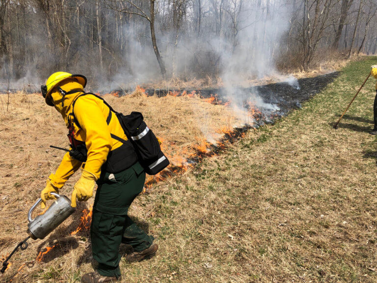 A person in protective fire gear works on a prescribed burn.