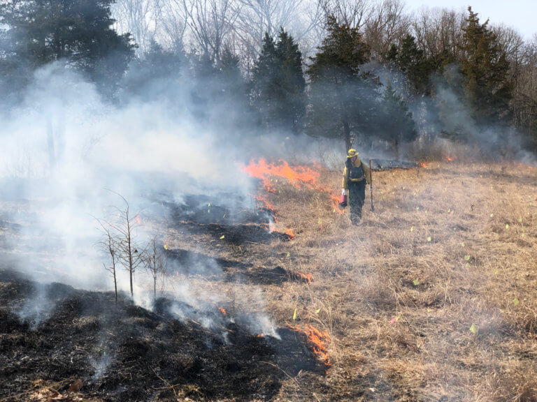 Prescribed Fire at Unionville Barrens - Natural Lands