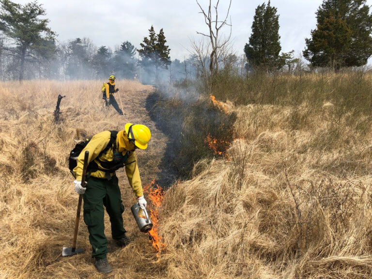Two people work on a controlled burn in a natural landscape.