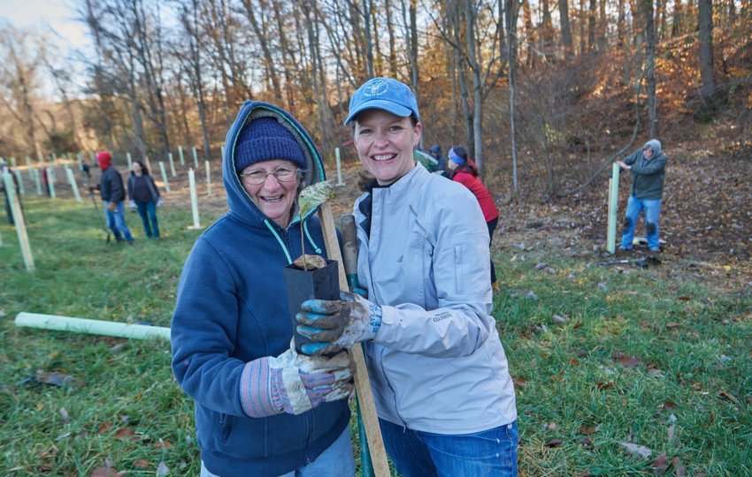 Two smiling volunteers hold a sapling together in front of a field of tree tubes and other volunteers working