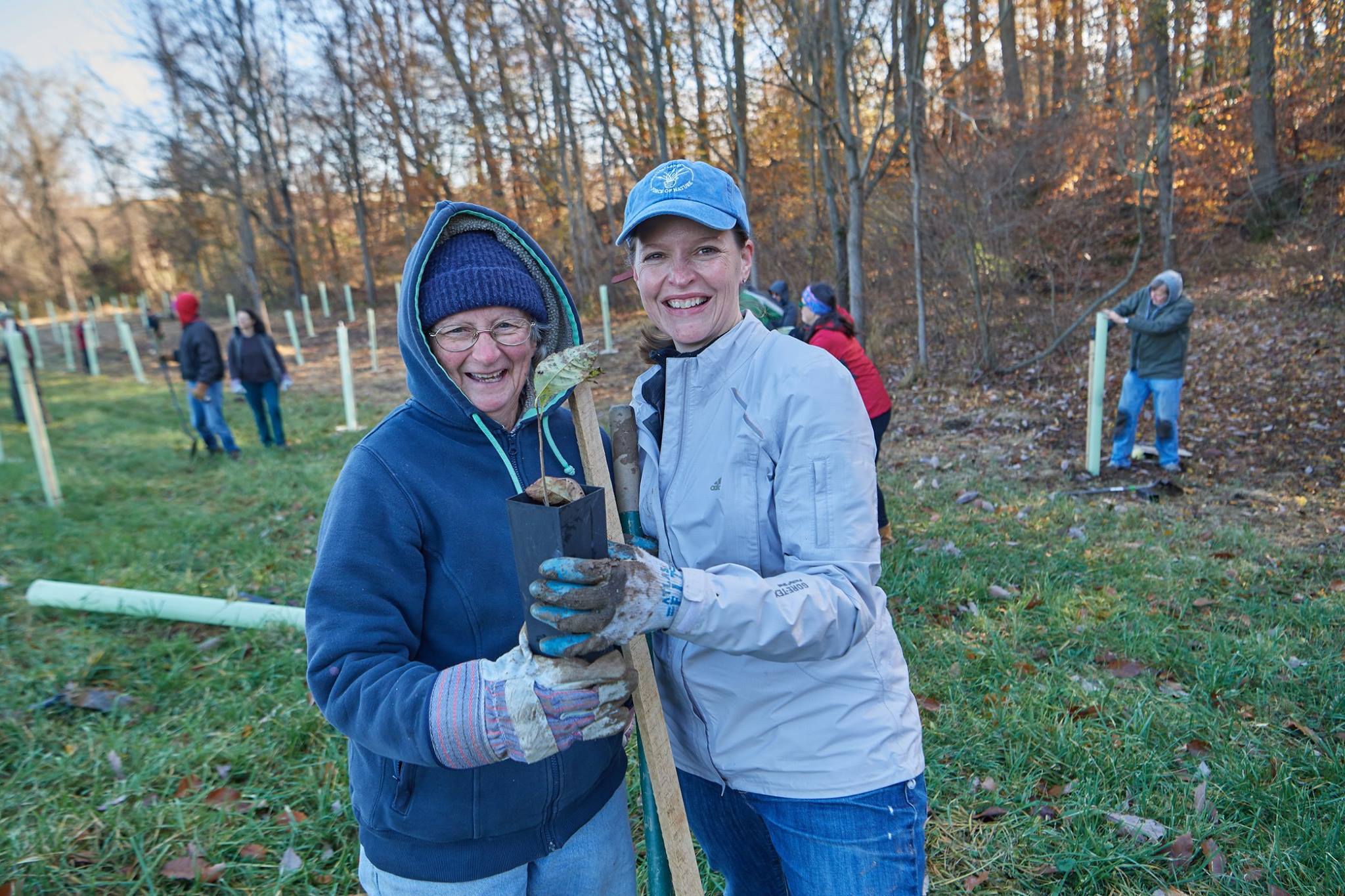 Two smiling volunteers hold a sapling together in front of a field of tree tubes and other volunteers working