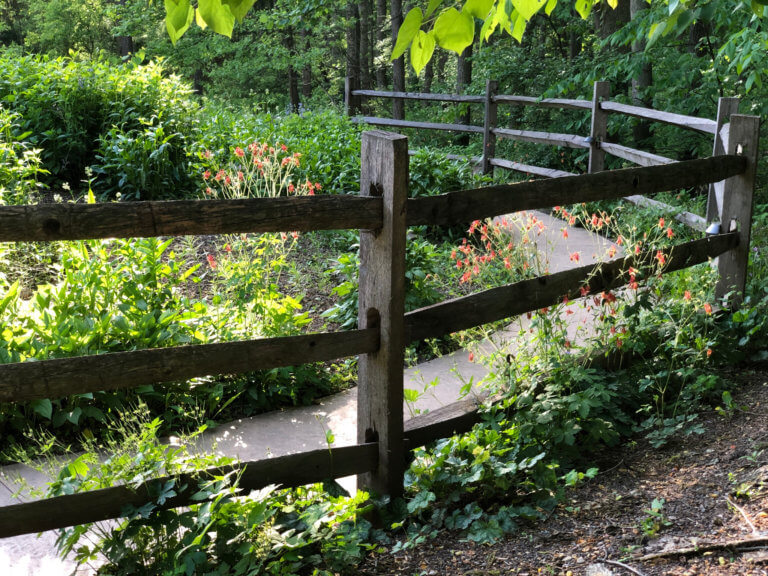 A wooden fence around a trail.