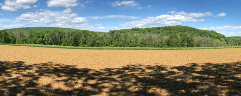 A brown field in front of a hilly forest.