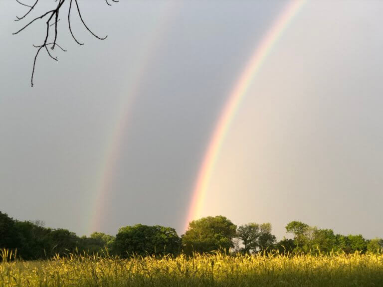 A double rainbow shimmers over a green field.