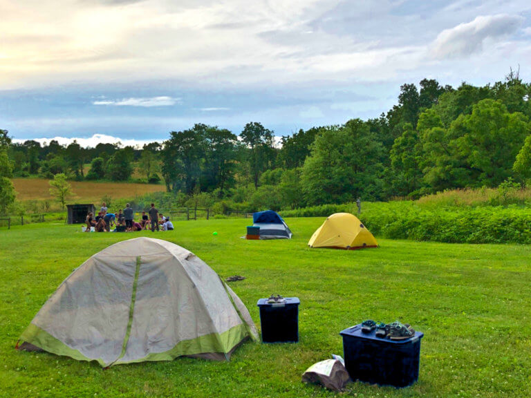 Tents in a green feild with a group of people in the background.