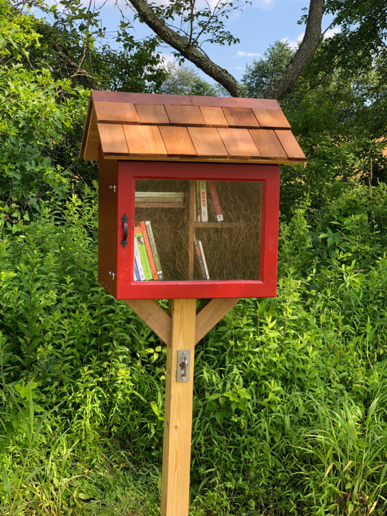 A little free library with books inside.