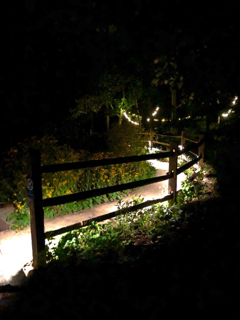 A trail lit with lights at night.