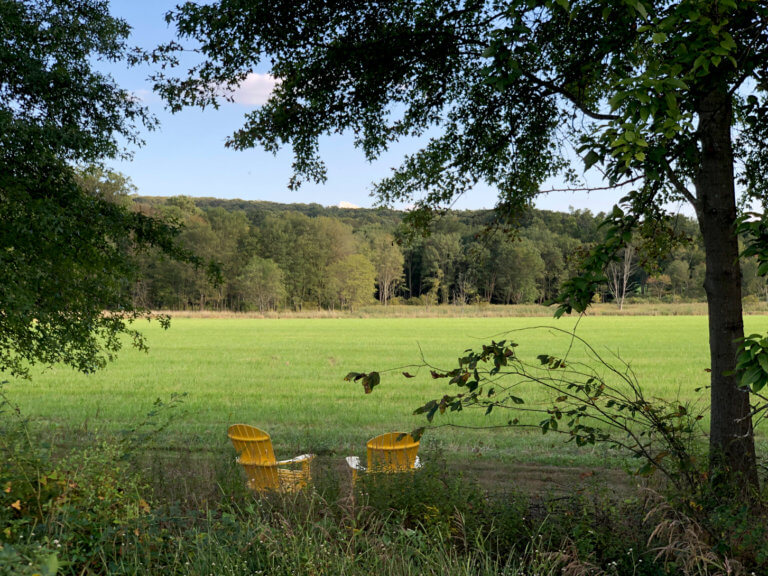 Two yellow chairs next to a green meadow.