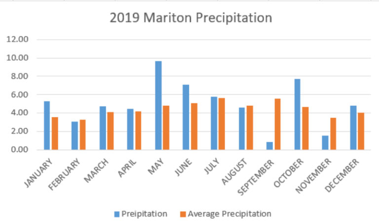 Graph of precipitation at Mariton for 2019