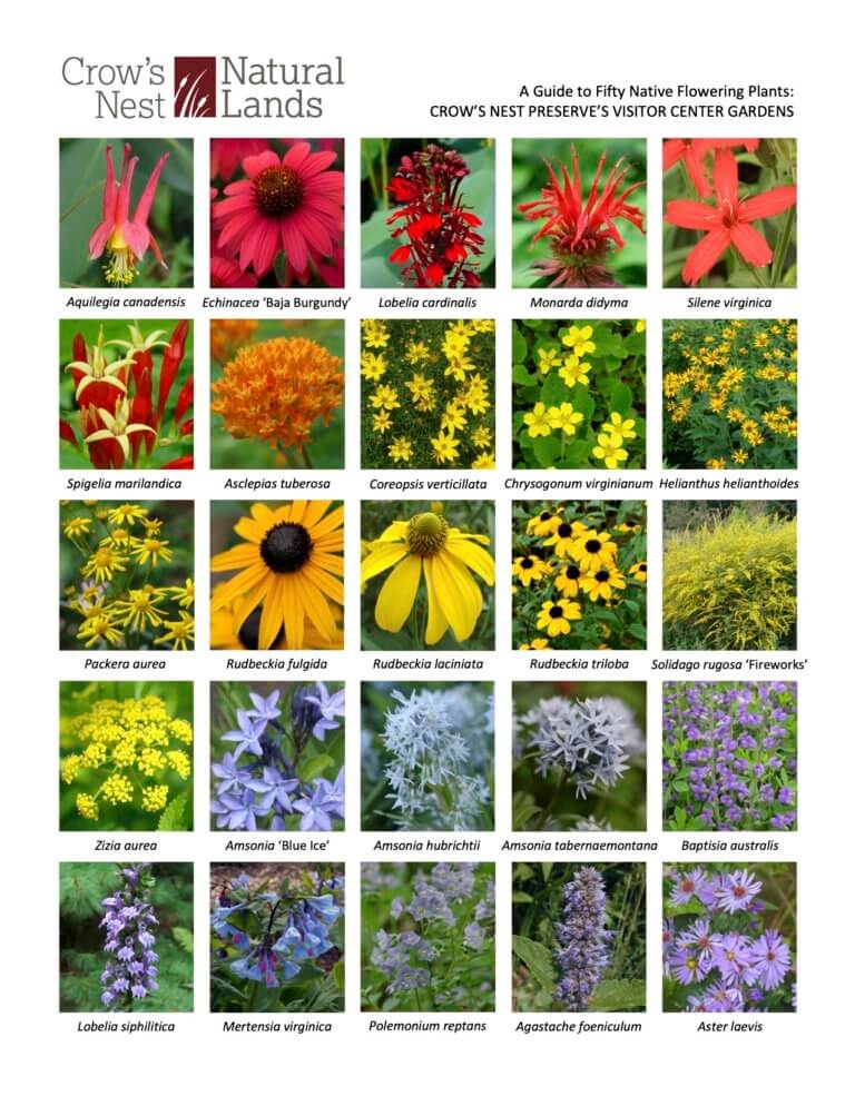 Crow's Nest perennial garden guide 2020 page one