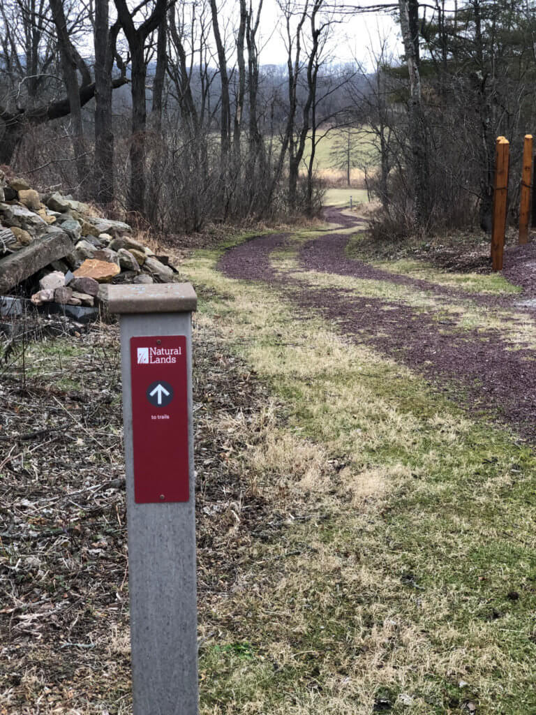 A wooden post with a trail sign next to a trail through the woods.