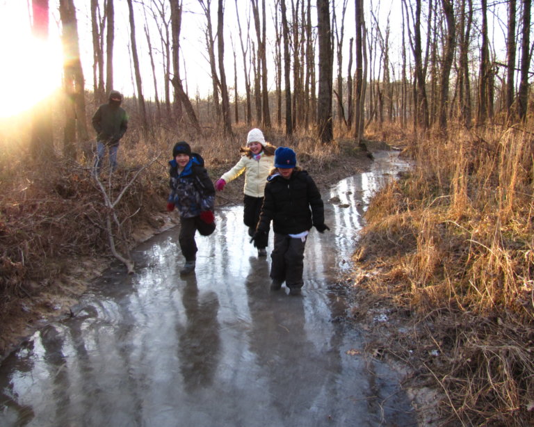 A group of children slide over a frozen stream in the woods.